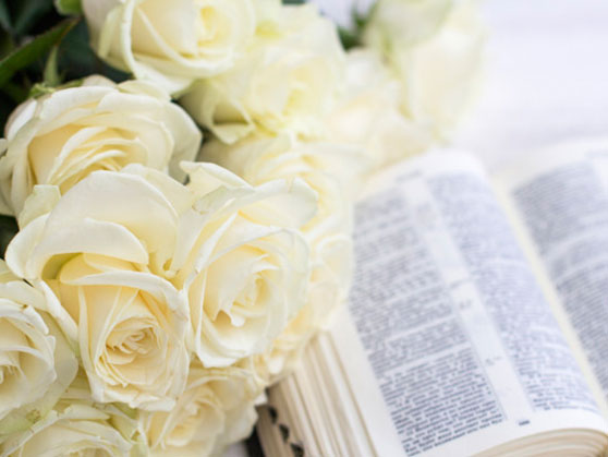 White roses for celebration of life ceremony